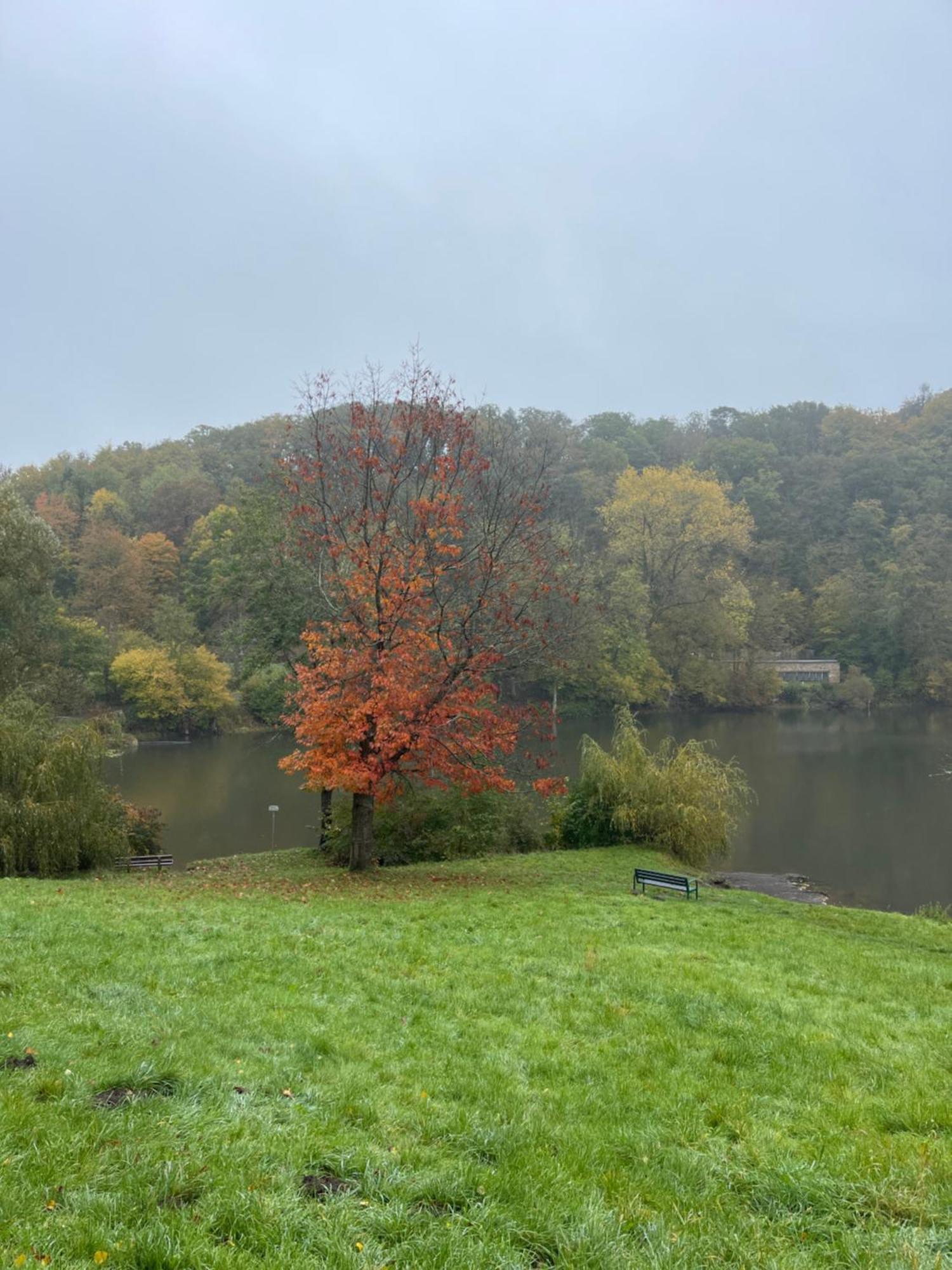 Ferienhaus Eifelstuben Mit Charme - Bauernstube Vulkaneifel - Naehe See Und Burgruine Ulmen Екстер'єр фото