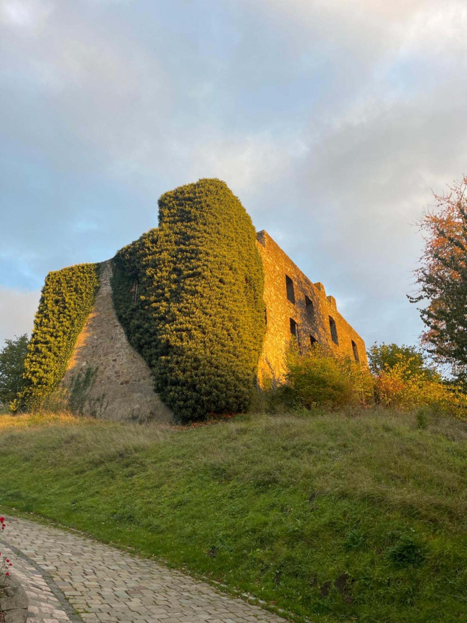 Ferienhaus Eifelstuben Mit Charme - Bauernstube Vulkaneifel - Naehe See Und Burgruine Ulmen Екстер'єр фото