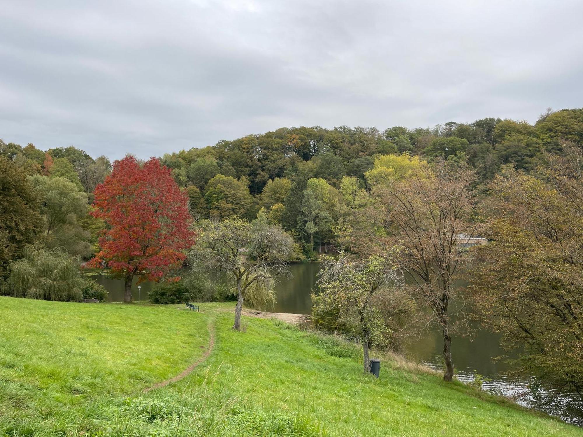 Ferienhaus Eifelstuben Mit Charme - Bauernstube Vulkaneifel - Naehe See Und Burgruine Ulmen Екстер'єр фото