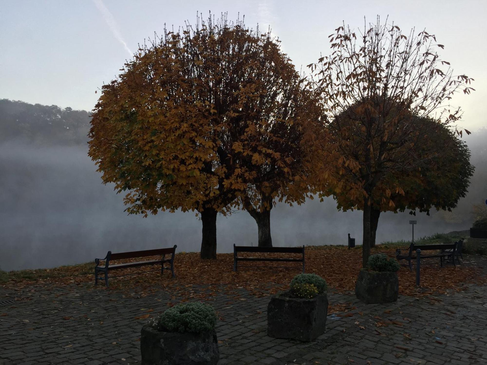 Ferienhaus Eifelstuben Mit Charme - Bauernstube Vulkaneifel - Naehe See Und Burgruine Ulmen Екстер'єр фото